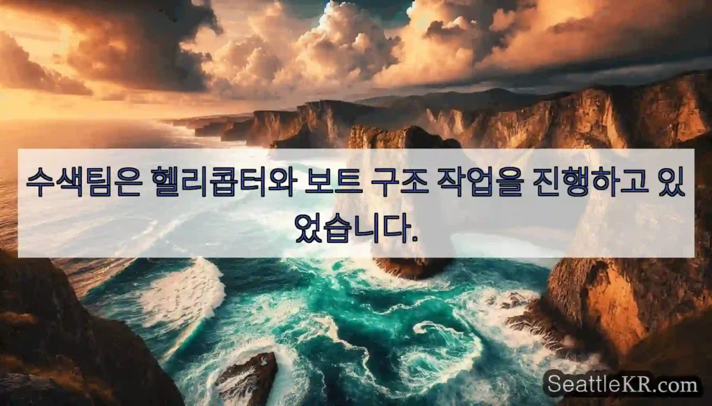 수색팀은 헬리콥터와 보트 구조 작업을 진행하고 있었습니다.
