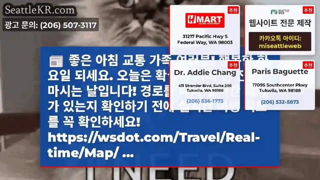 좋은 아침 교통 가족 여러분! 행복한 화요일 되세요. 오늘은 확실히 커피 한 잔 더
