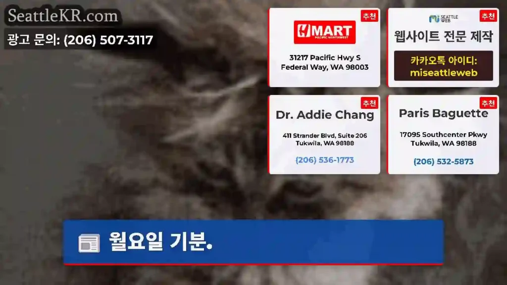 월요일 기분.
