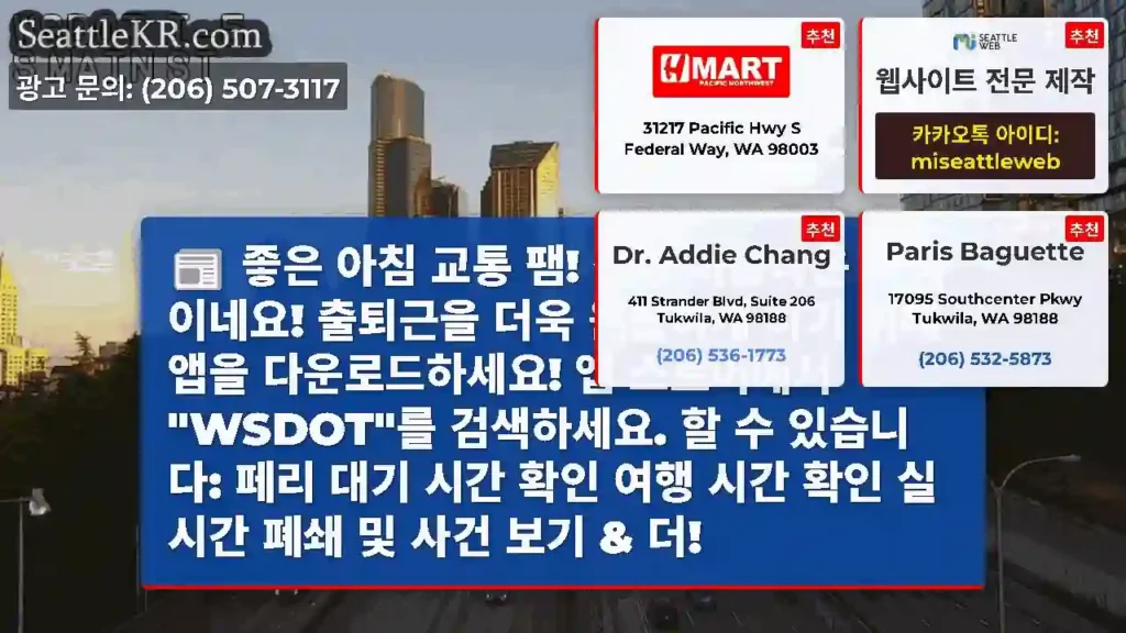 좋은 아침 교통 팸! 정말 아름다운 아침이네요! 출퇴근을 더욱 원활하게 하기 위해 앱을