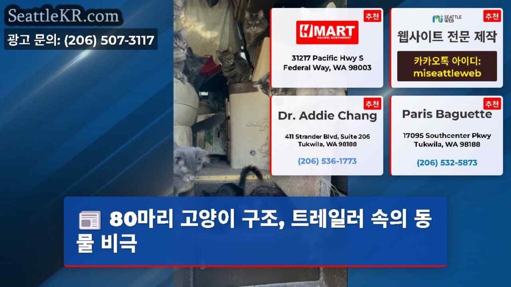 80마리 고양이 구조, 트레일러 속의 동물 비극