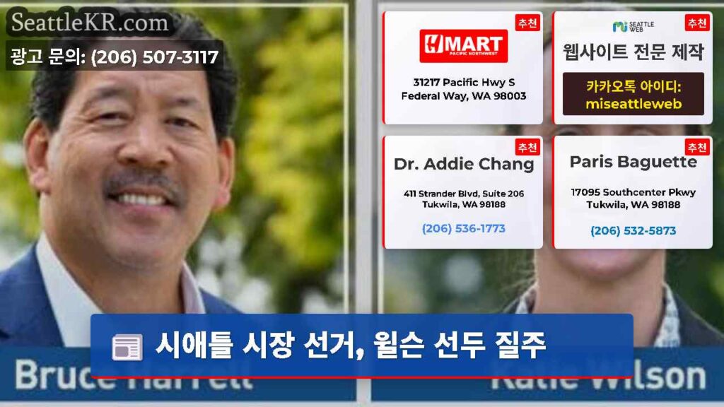 시애틀 시장 선거, 윌슨 선두 질주