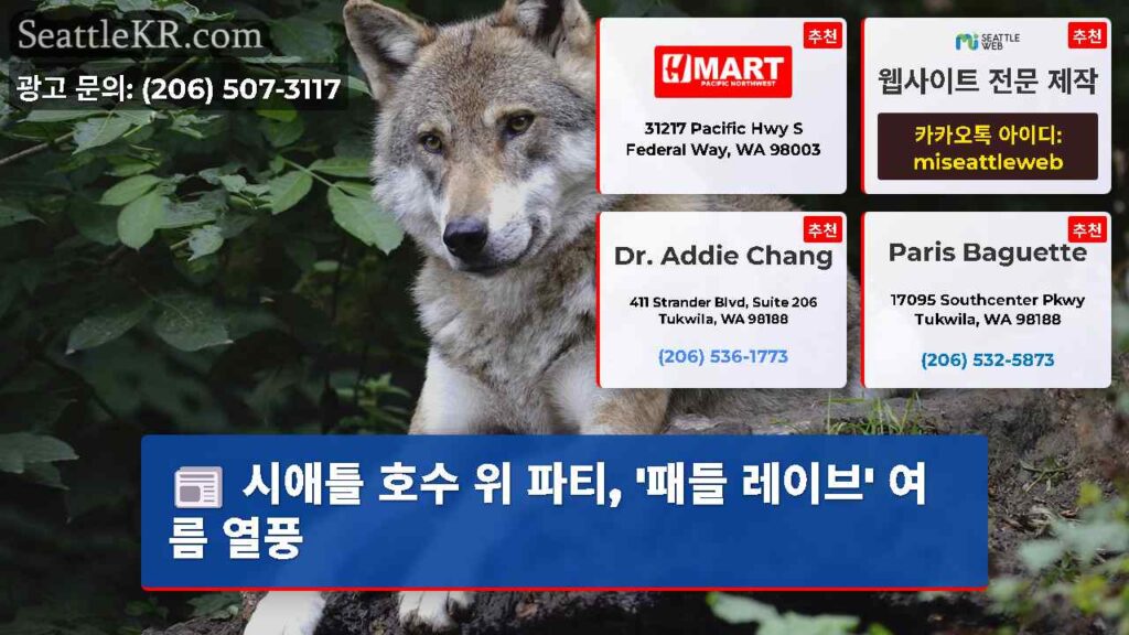 시애틀 호수 위 파티, '패들 레이브' 여름 열풍