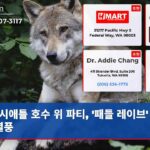 시애틀 호수 위 파티 패들 레이브 여름 열풍