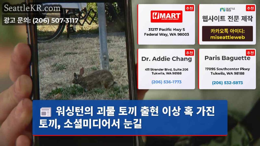 워싱턴의 괴물 토끼 출현 이상 혹 가진 토끼, 소셜미디어서 눈길