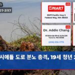 시애틀 도로 분노 총격 19세 청년 2명 체포