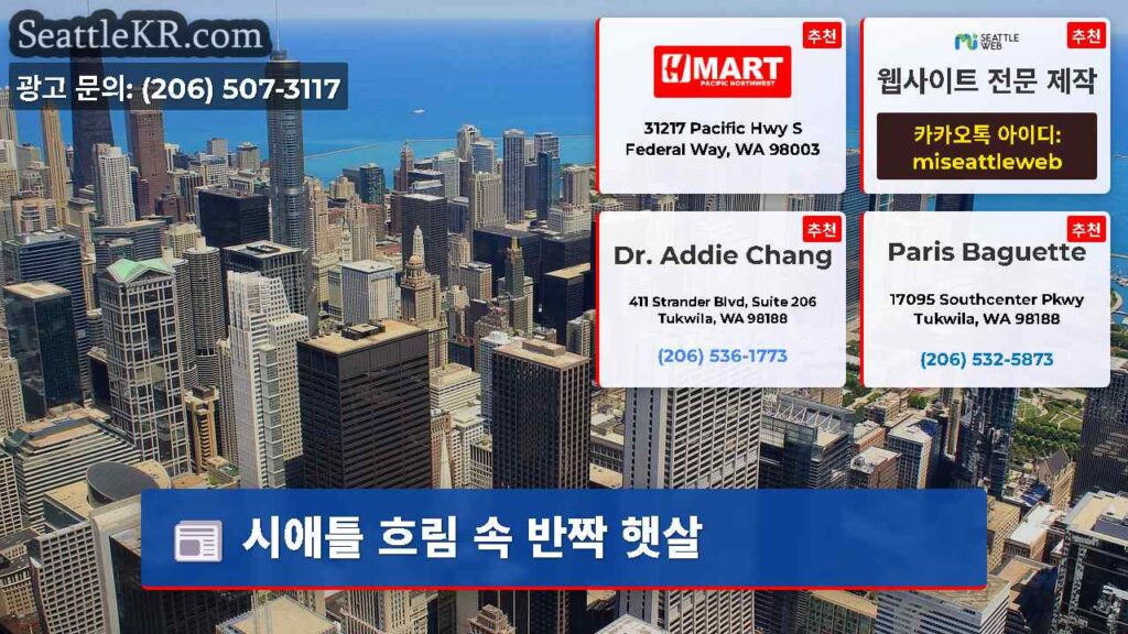 시애틀 흐림 속 반짝 햇살