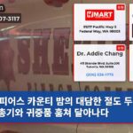 피어스 카운티 밤의 대담한 절도 두 도둑 총기와 귀중품 훔쳐 달아나다