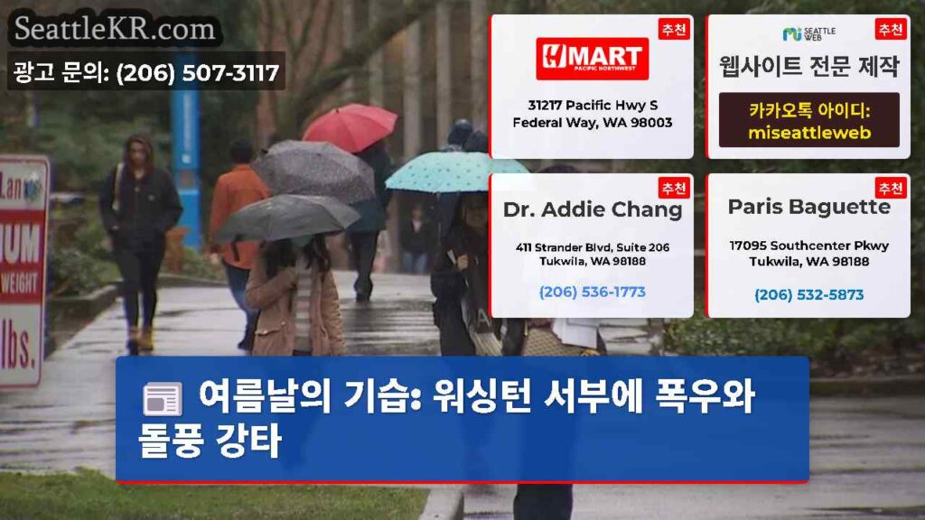 여름날의 기습: 워싱턴 서부에 폭우와 돌풍 강타
