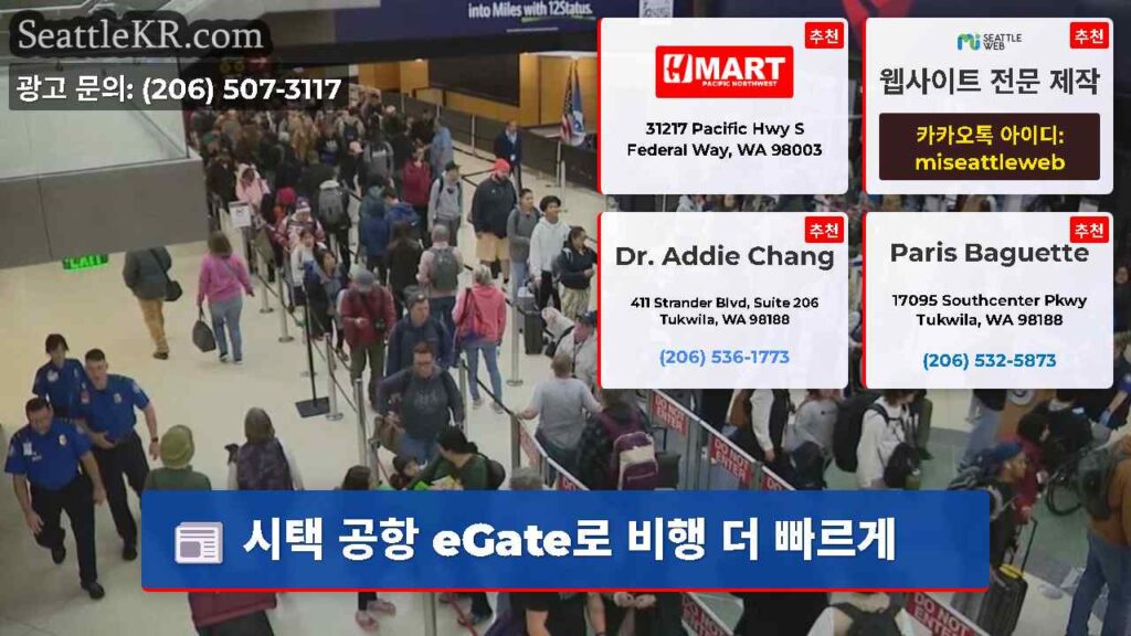 시택 공항 eGate로 비행 더 빠르게