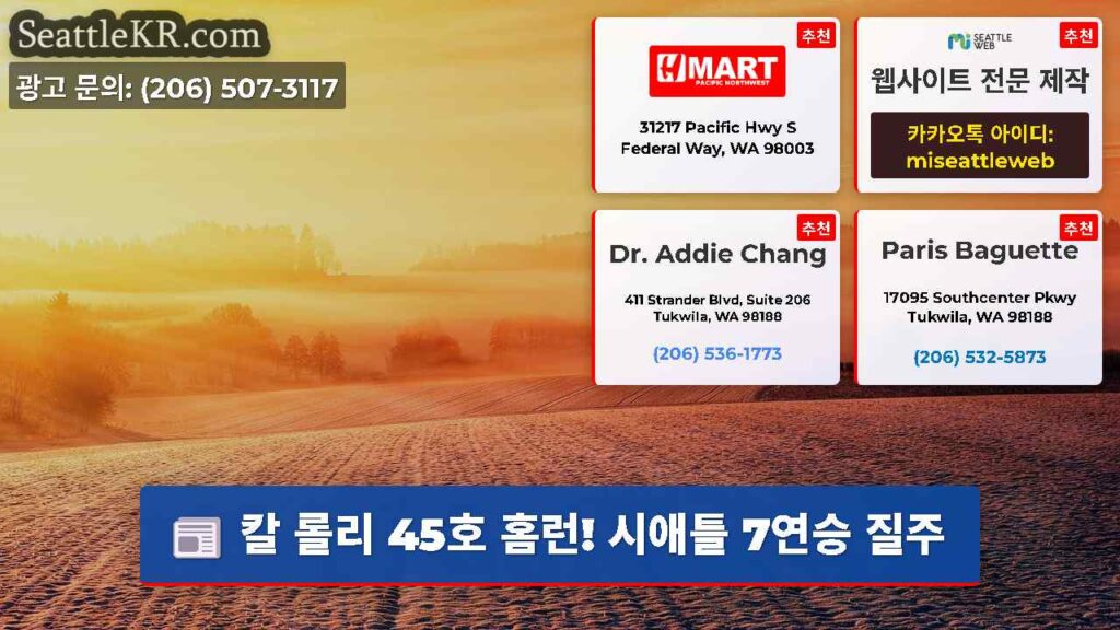 칼 롤리 45호 홈런! 시애틀 7연승 질주