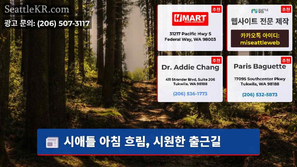 시애틀 아침 흐림, 시원한 출근길