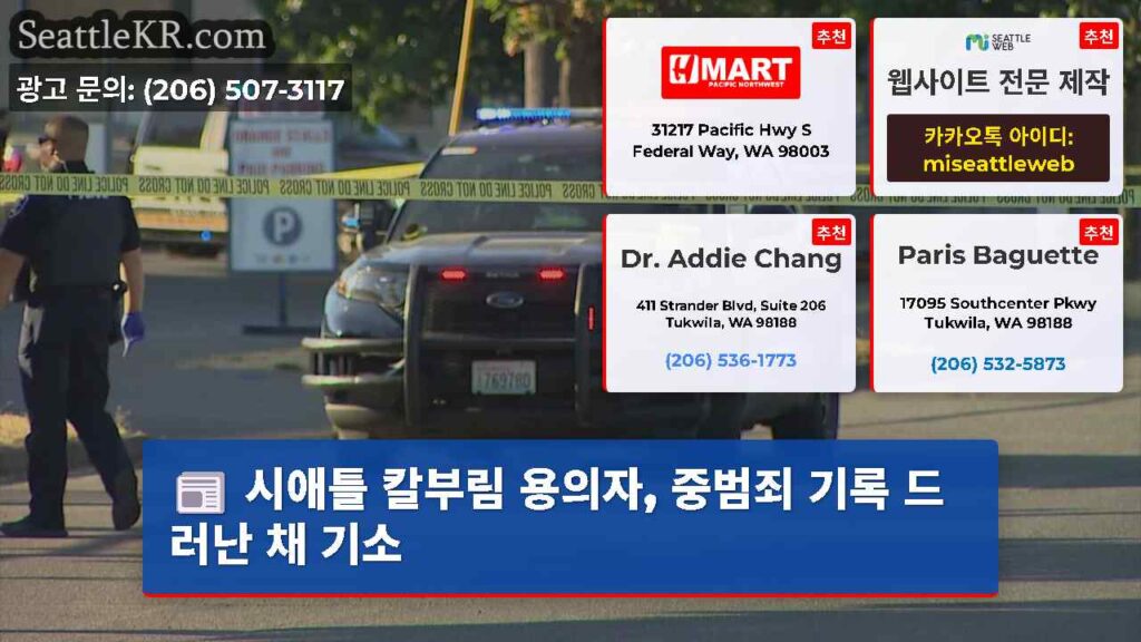 시애틀 칼부림 용의자, 중범죄 기록 드러난 채 기소
