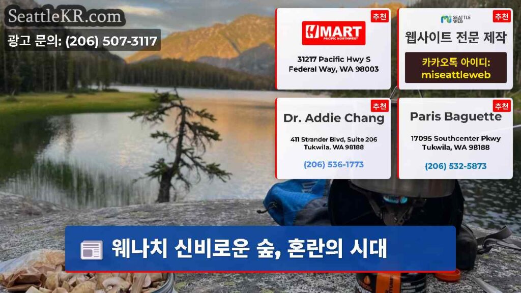 웨나치 신비로운 숲, 혼란의 시대