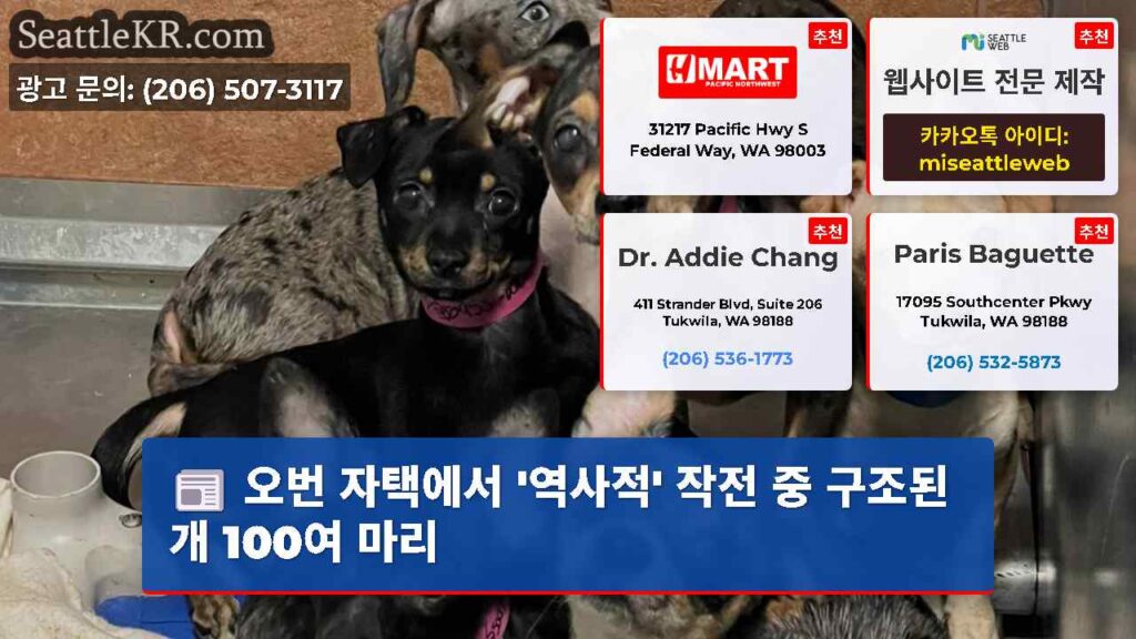 오번 자택에서 '역사적' 작전 중 구조된 개 100여 마리