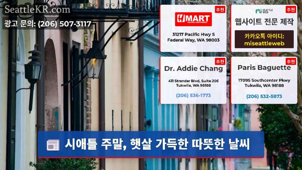 시애틀 주말, 햇살 가득한 따뜻한 날씨