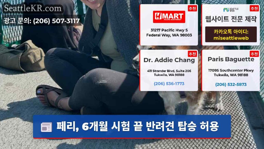 페리, 6개월 시험 끝 반려견 탑승 허용