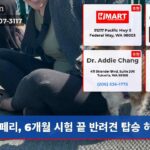 페리 6개월 시험 끝 반려견 탑승 허용