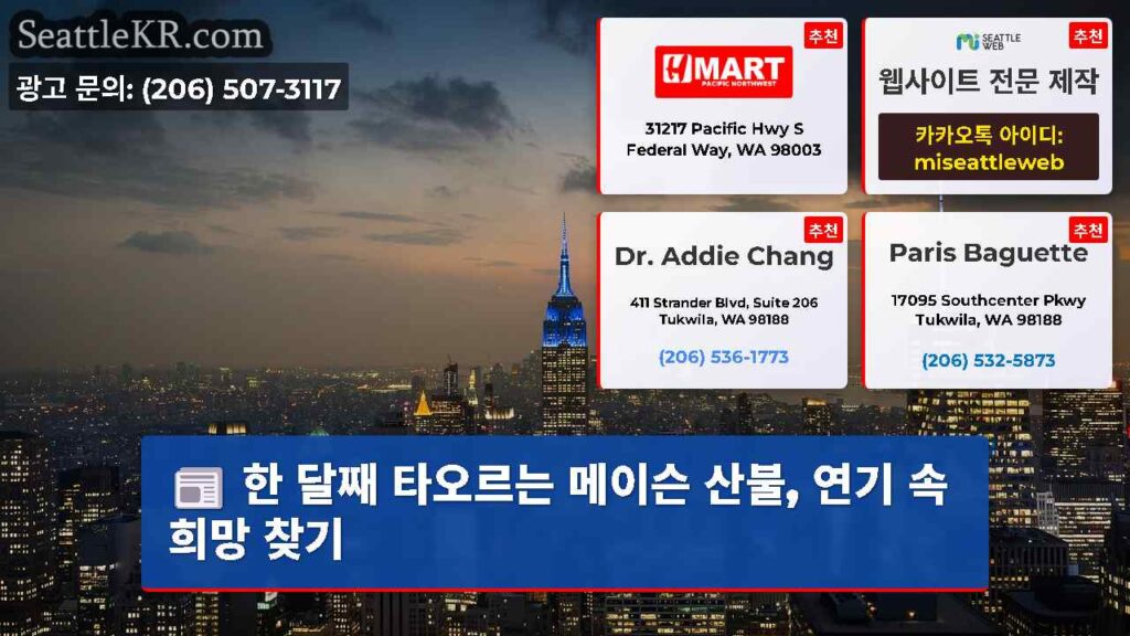 한 달째 타오르는 메이슨 산불, 연기 속 희망 찾기