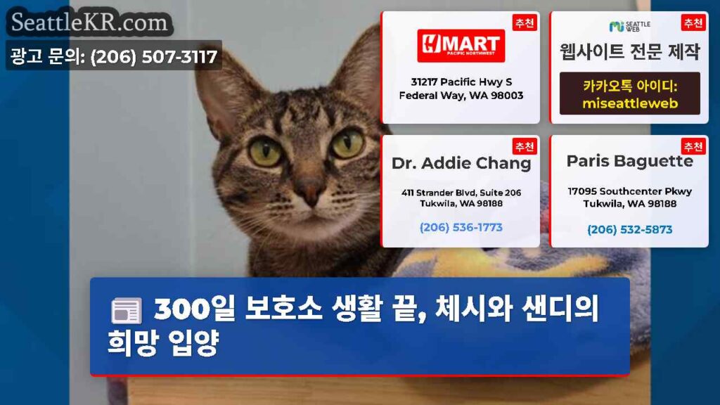 300일 보호소 생활 끝, 체시와 샌디의 희망 입양
