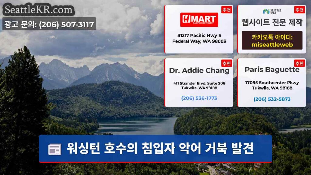 워싱턴 호수의 침입자 악어 거북 발견