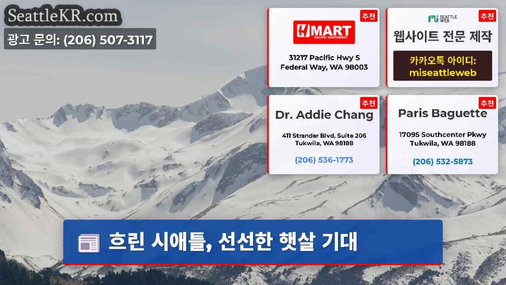 흐린 시애틀, 선선한 햇살 기대
