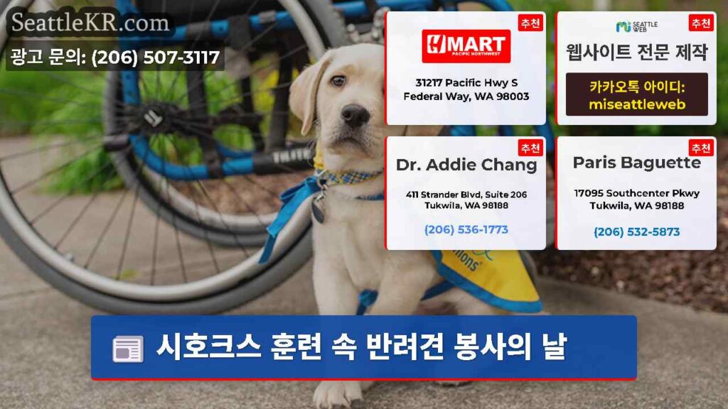 시호크스 훈련 속 반려견 봉사의 날