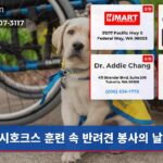 시호크스 훈련 속 반려견 봉사의 날