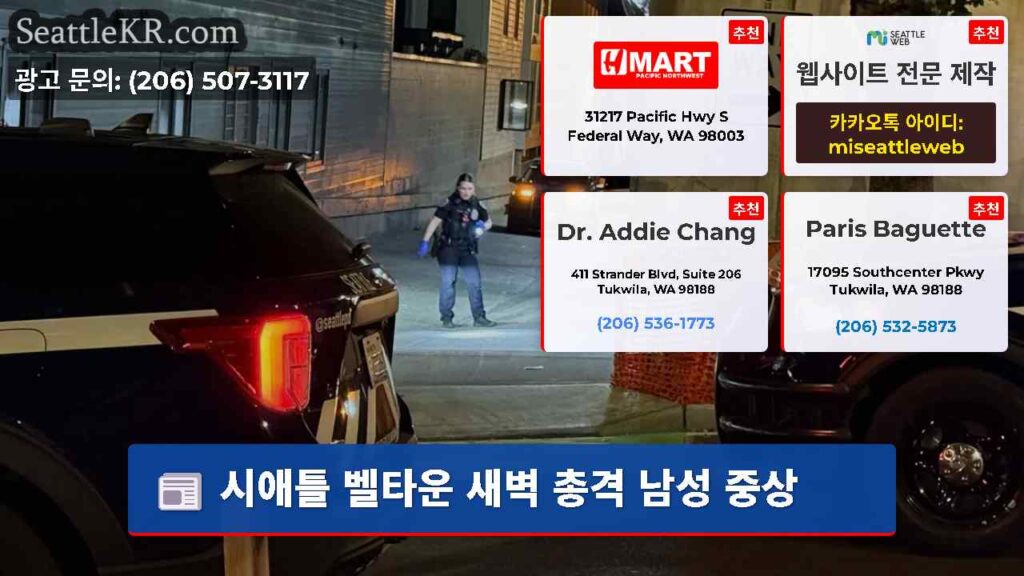 시애틀 벨타운 새벽 총격 남성 중상