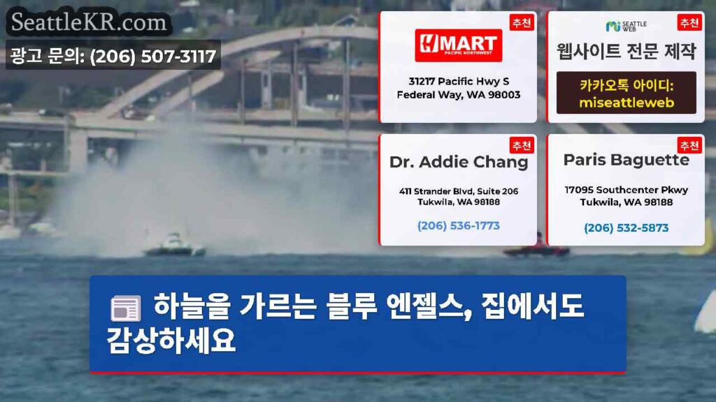 하늘을 가르는 블루 엔젤스, 집에서도 감상하세요