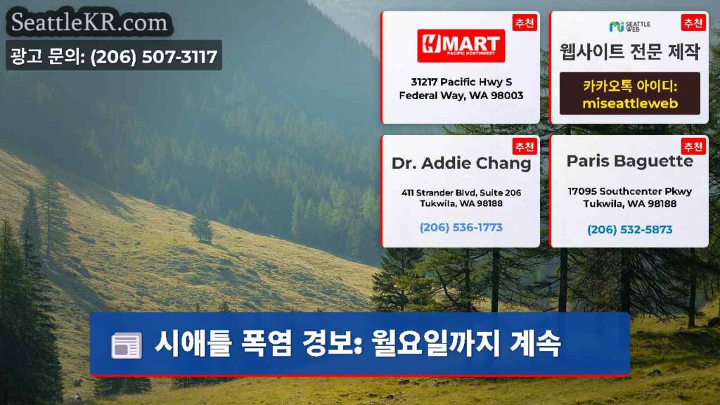 시애틀 폭염 경보: 월요일까지 계속