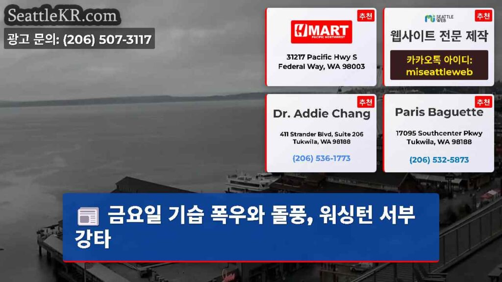 금요일 기습 폭우와 돌풍, 워싱턴 서부 강타