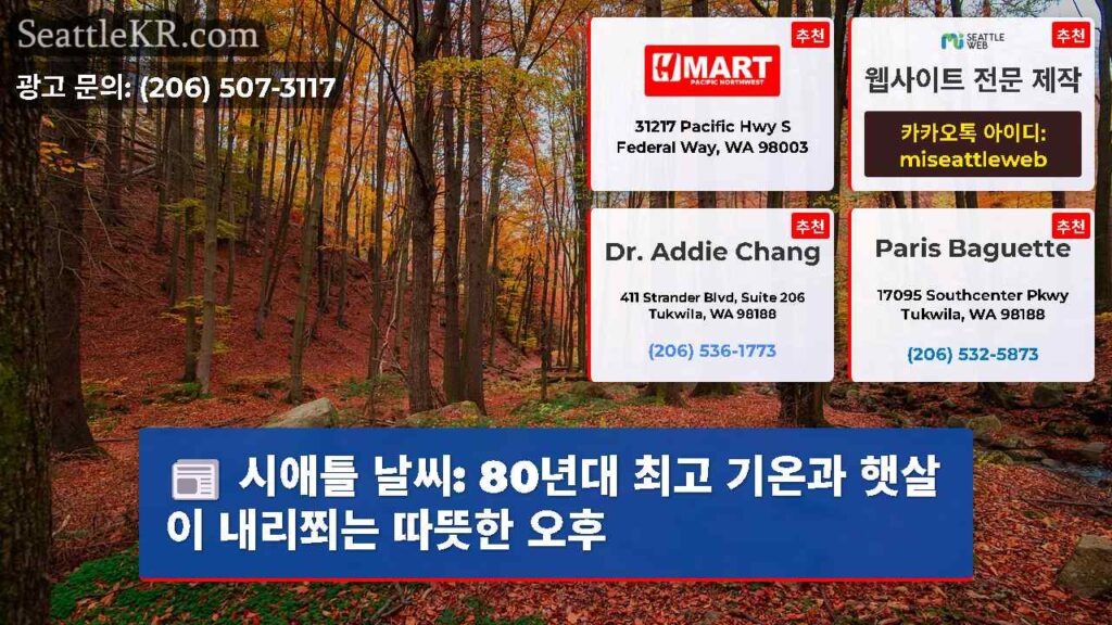시애틀 날씨: 80년대 최고 기온과 햇살이 내리쬐는 따뜻한 오후