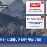 흐린 시애틀 온화한 햇살 기대