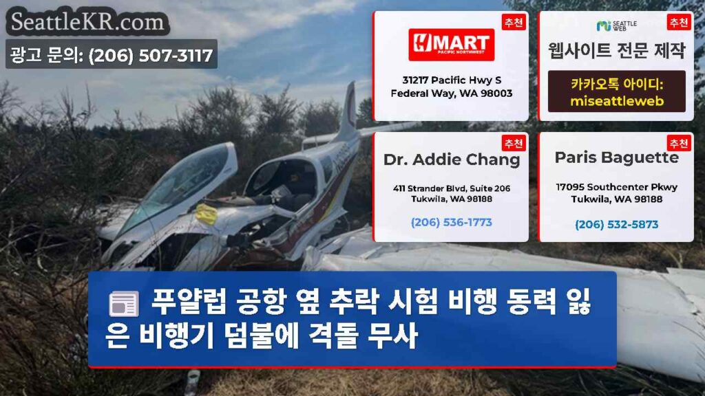 푸얄럽 공항 옆 추락 시험 비행 동력 잃은 비행기 덤불에 격돌 무사