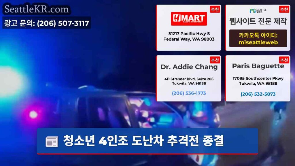청소년 4인조 도난차 추격전 종결