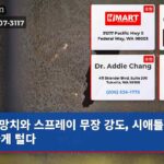 망치와 스프레이 무장 강도 시애틀 보석가게 털다