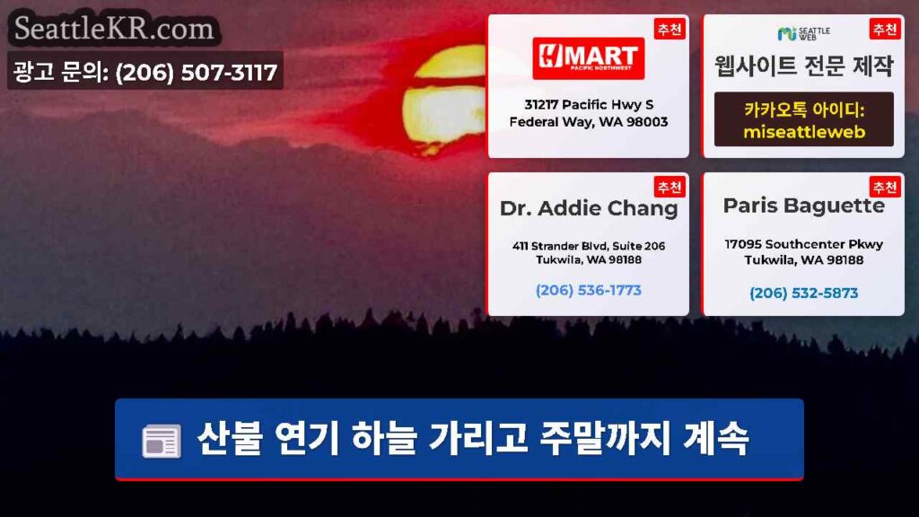 산불 연기 하늘 가리고 주말까지 계속
