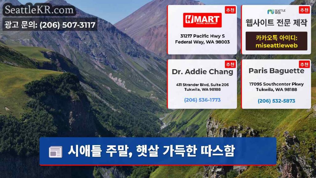 시애틀 주말, 햇살 가득한 따스함