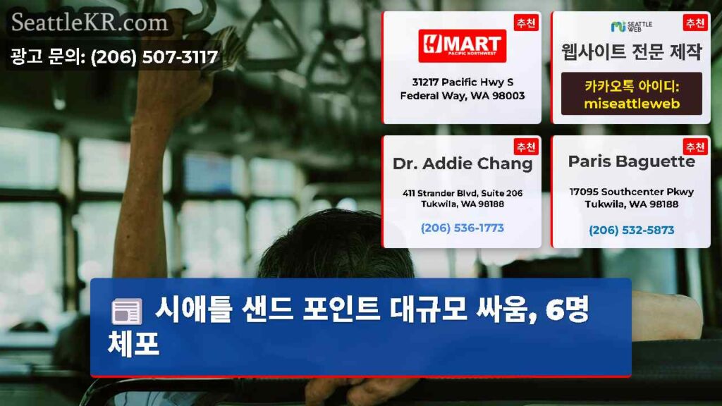 시애틀 샌드 포인트 대규모 싸움, 6명 체포