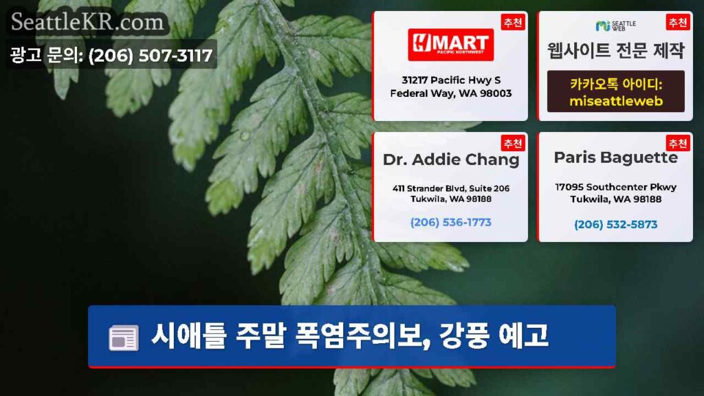 시애틀 주말 폭염주의보, 강풍 예고