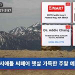 시애틀 씨페어 햇살 가득한 주말 예보