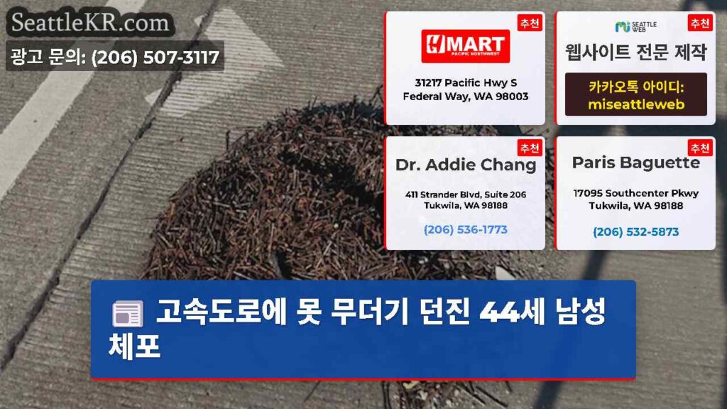 고속도로에 못 무더기 던진 44세 남성 체포