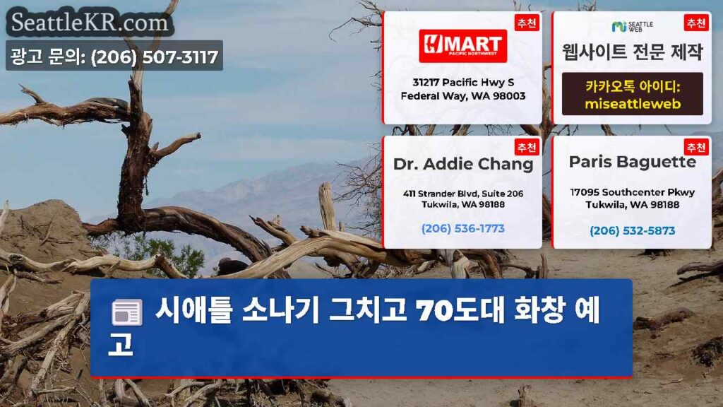 시애틀 소나기 그치고 70도대 화창 예고
