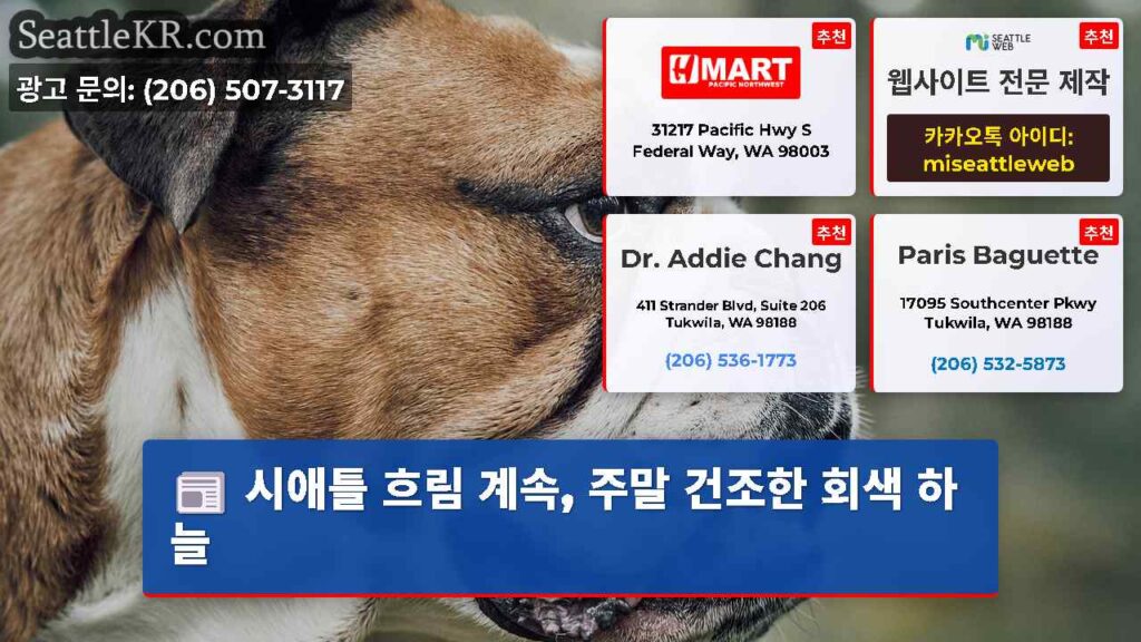 시애틀 흐림 계속, 주말 건조한 회색 하늘