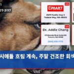 시애틀 흐림 계속 주말 건조한 회색 하늘