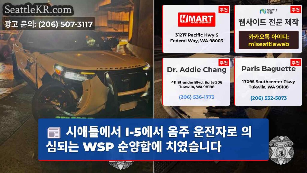 Home 3 시애틀에서 I-5에서 음주 운전자로 의심되는 WSP 순양함에 치였습니다