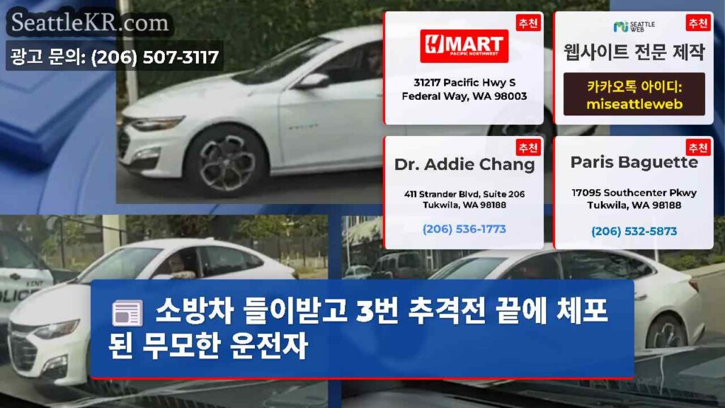 소방차 들이받고 3번 추격전 끝에 체포된 무모한 운전자