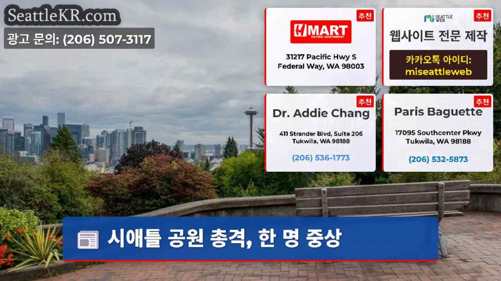 시애틀 공원 총격, 한 명 중상