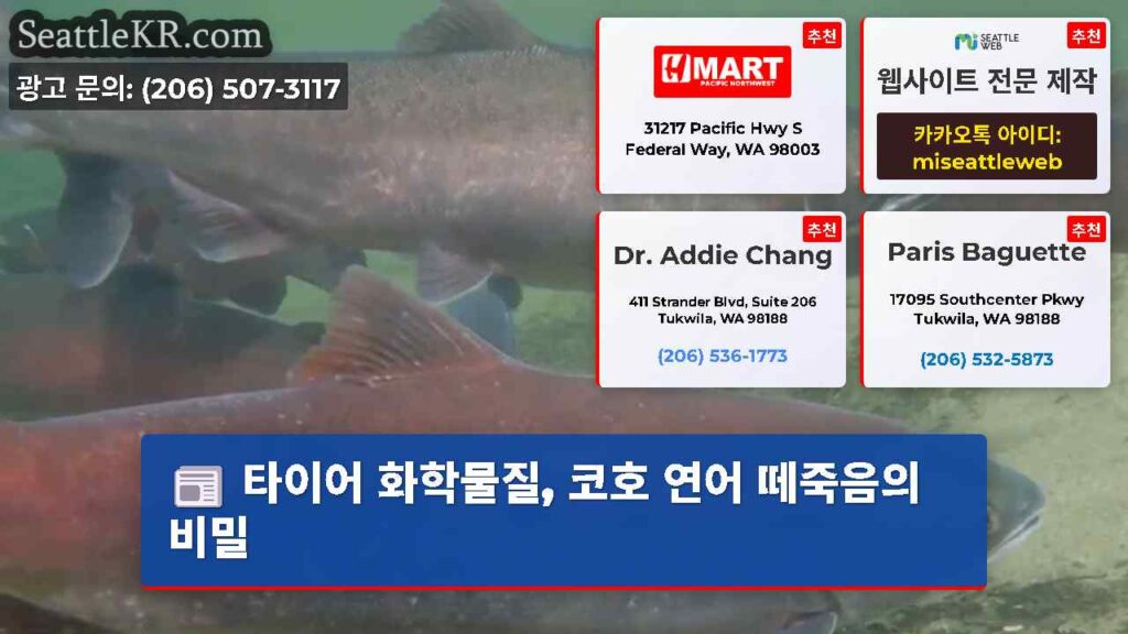 타이어 화학물질, 코호 연어 떼죽음의 비밀